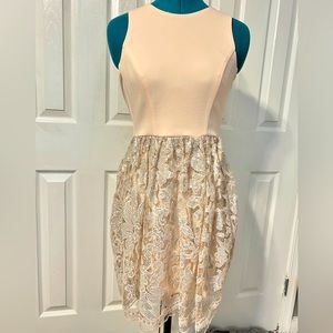Pink + Silver Dress Size 0